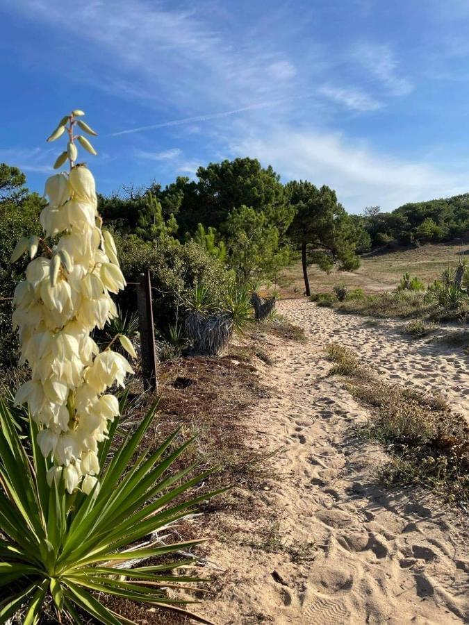 Maison Dans Les Dunes Hébergement de vacances Barbâtre